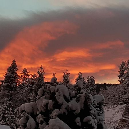 Apartamenty Pod Limba Zakopane Esterno foto