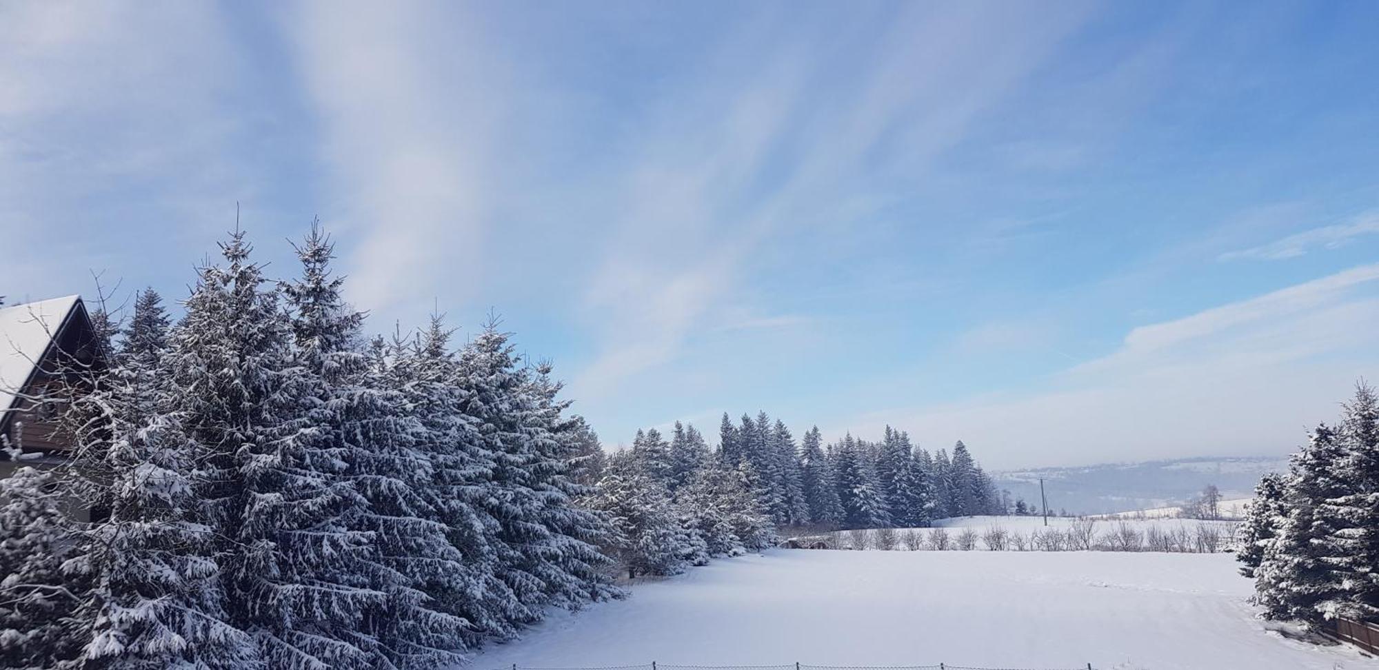 Apartamenty Pod Limba Zakopane Esterno foto