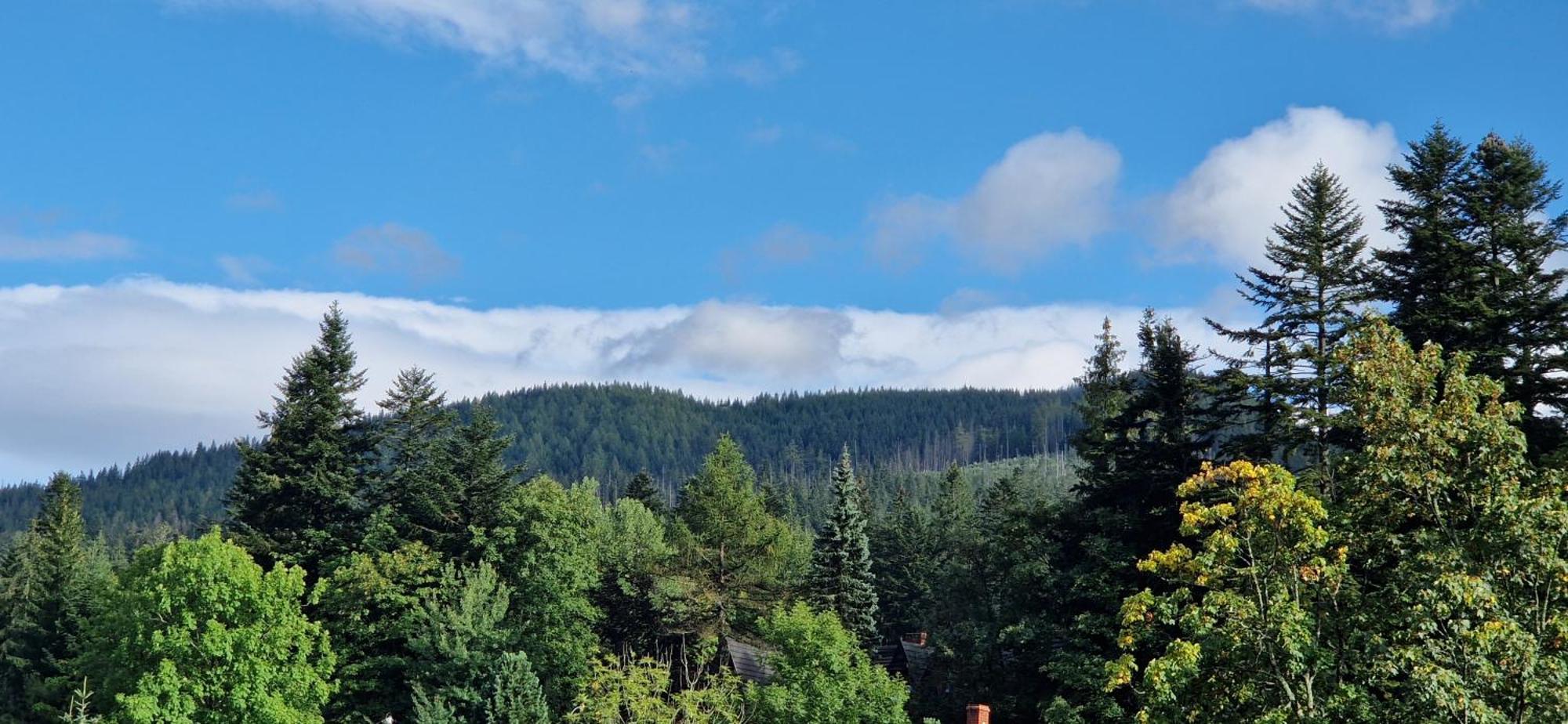 Apartamenty Pod Limba Zakopane Esterno foto