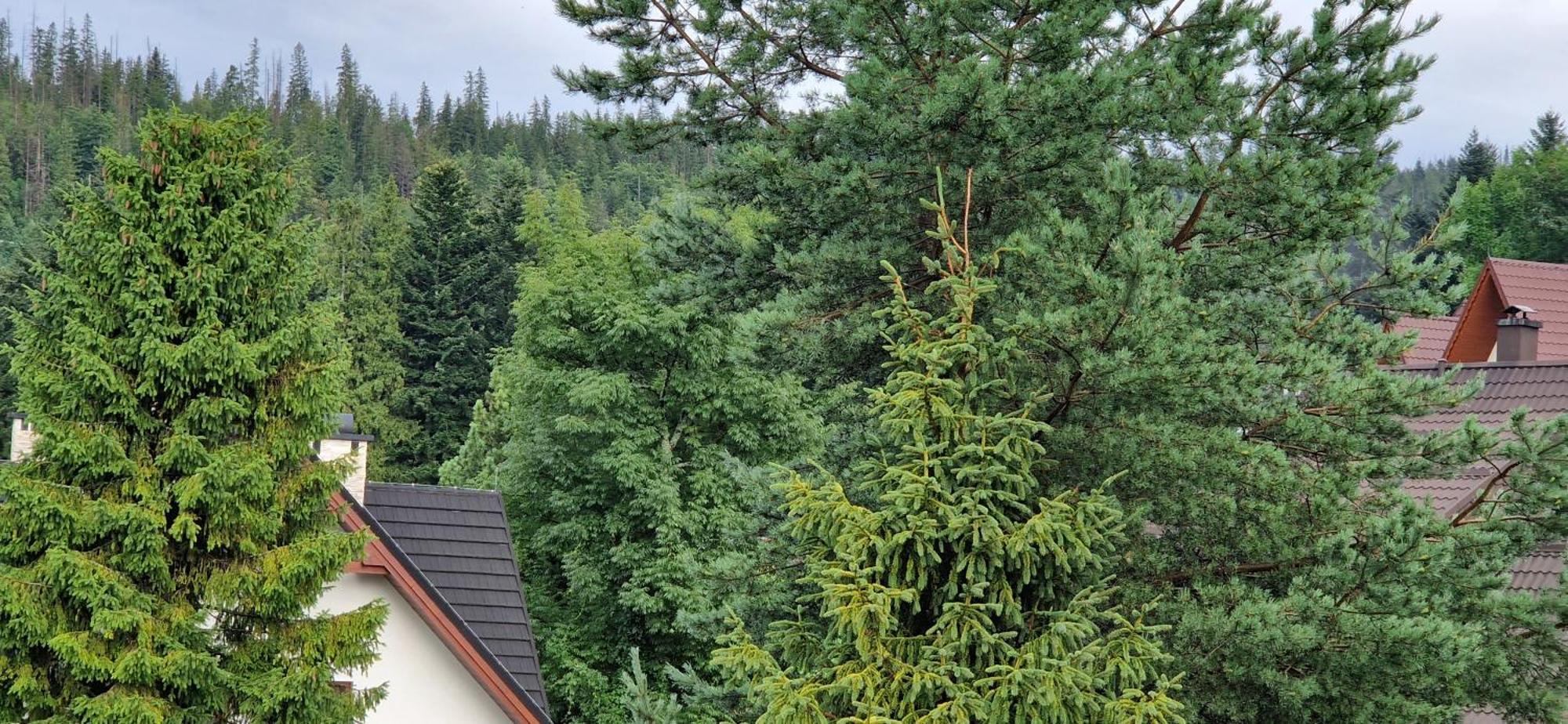 Apartamenty Pod Limba Zakopane Esterno foto